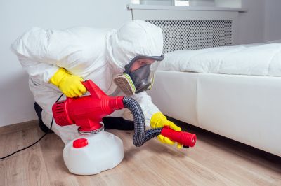 Bed Bug Fumigation