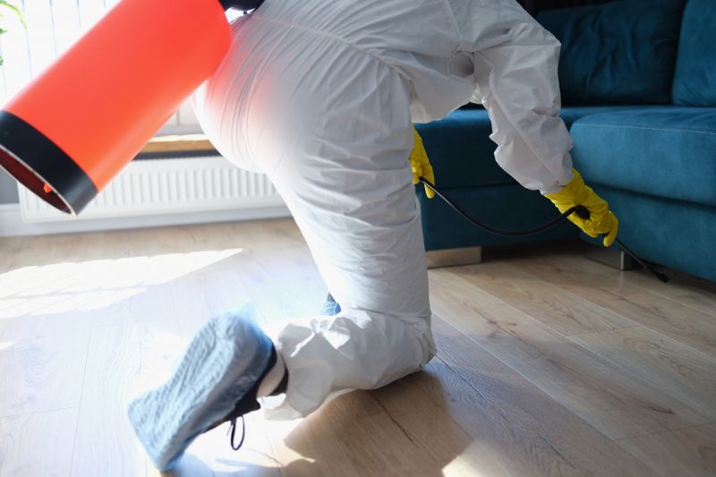 Bug Extermination Service