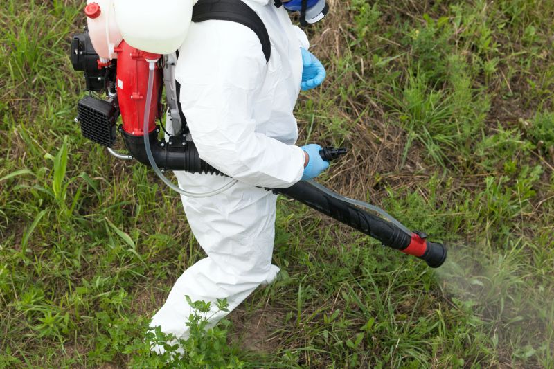 Flea Fumigation