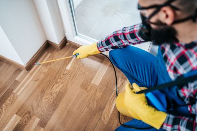How Routine Pest Control Helps Prevent Major Infestations