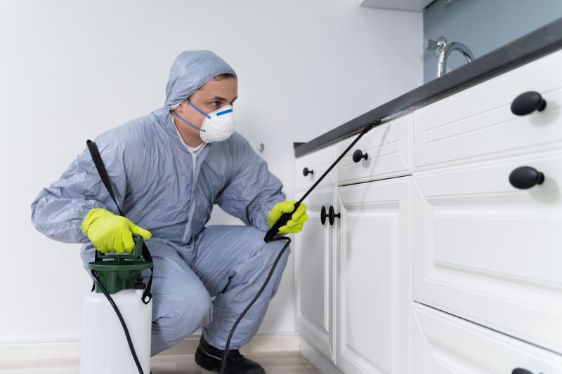 Insect Control Service