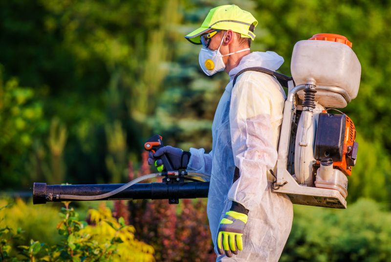 Insect Control Service