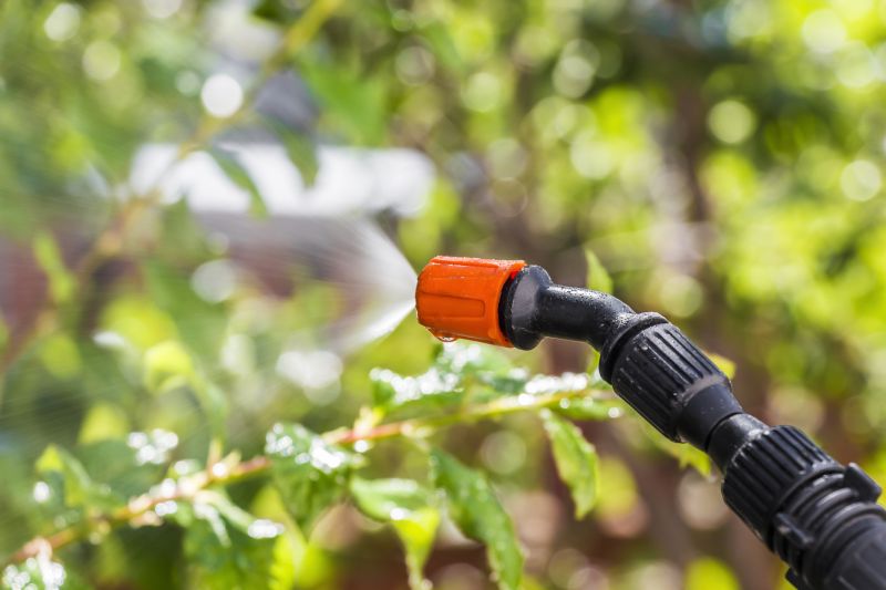 Insect Control Service
