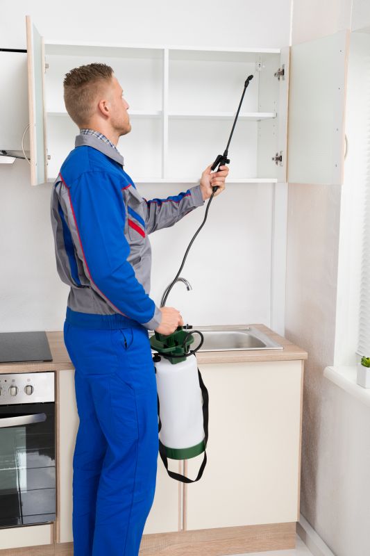 Insect Control Service