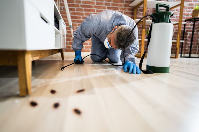 Insect Extermination Service