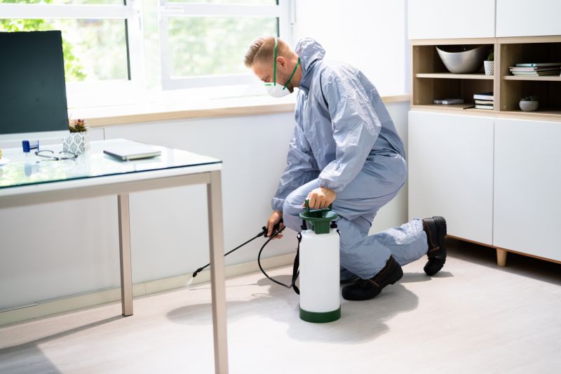 Insect Extermination Service