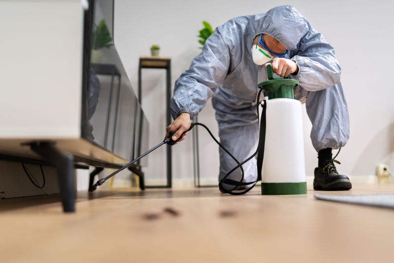 Seasonal Pest Problems And How To Prevent Them