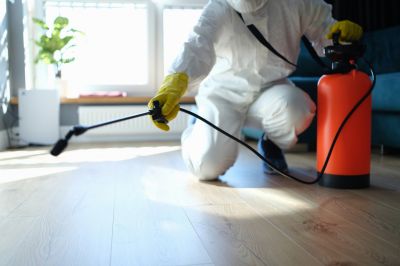 Spider Control Service