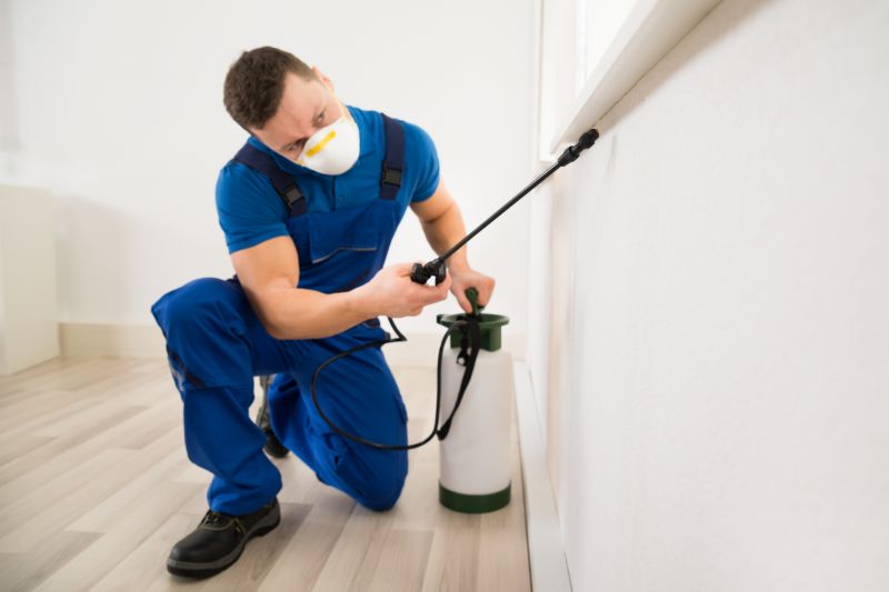 Spider Extermination Service