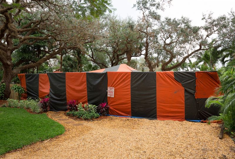 Termite Fumigation